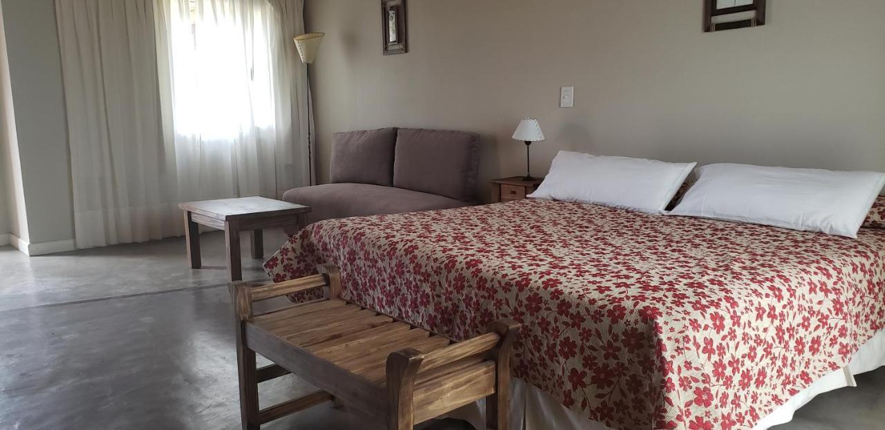 Celestino Posta Andina Hotel Barreal Buitenkant foto