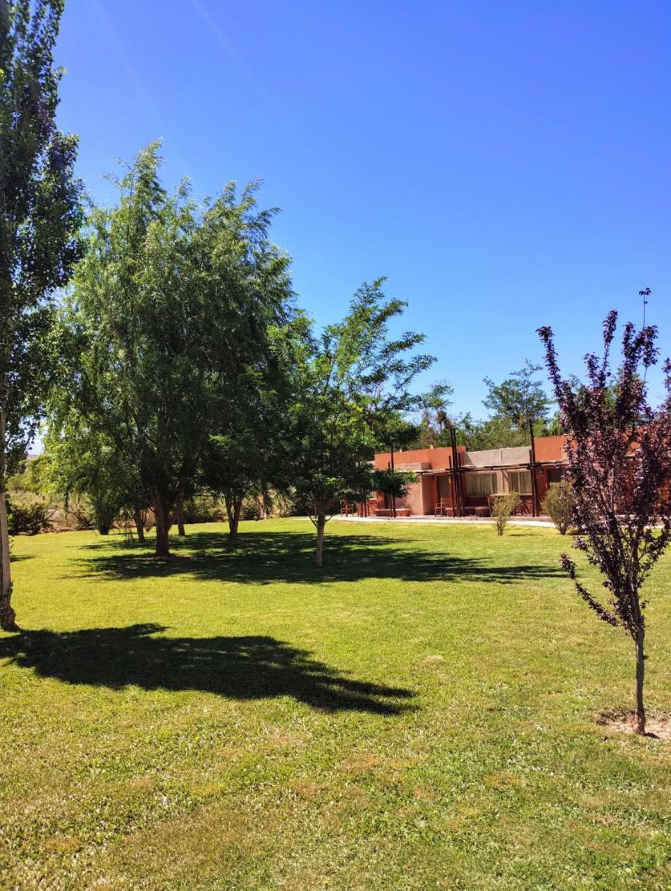 Celestino Posta Andina Hotel Barreal Buitenkant foto